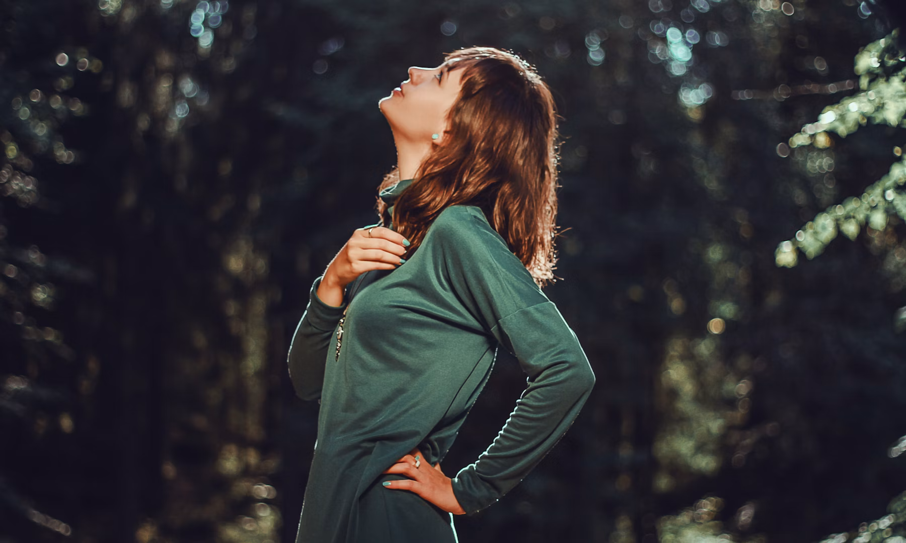 O guia integrativo para a menopausa: alimentação, fitoterapia e nutrição para viver essa fase com leveza