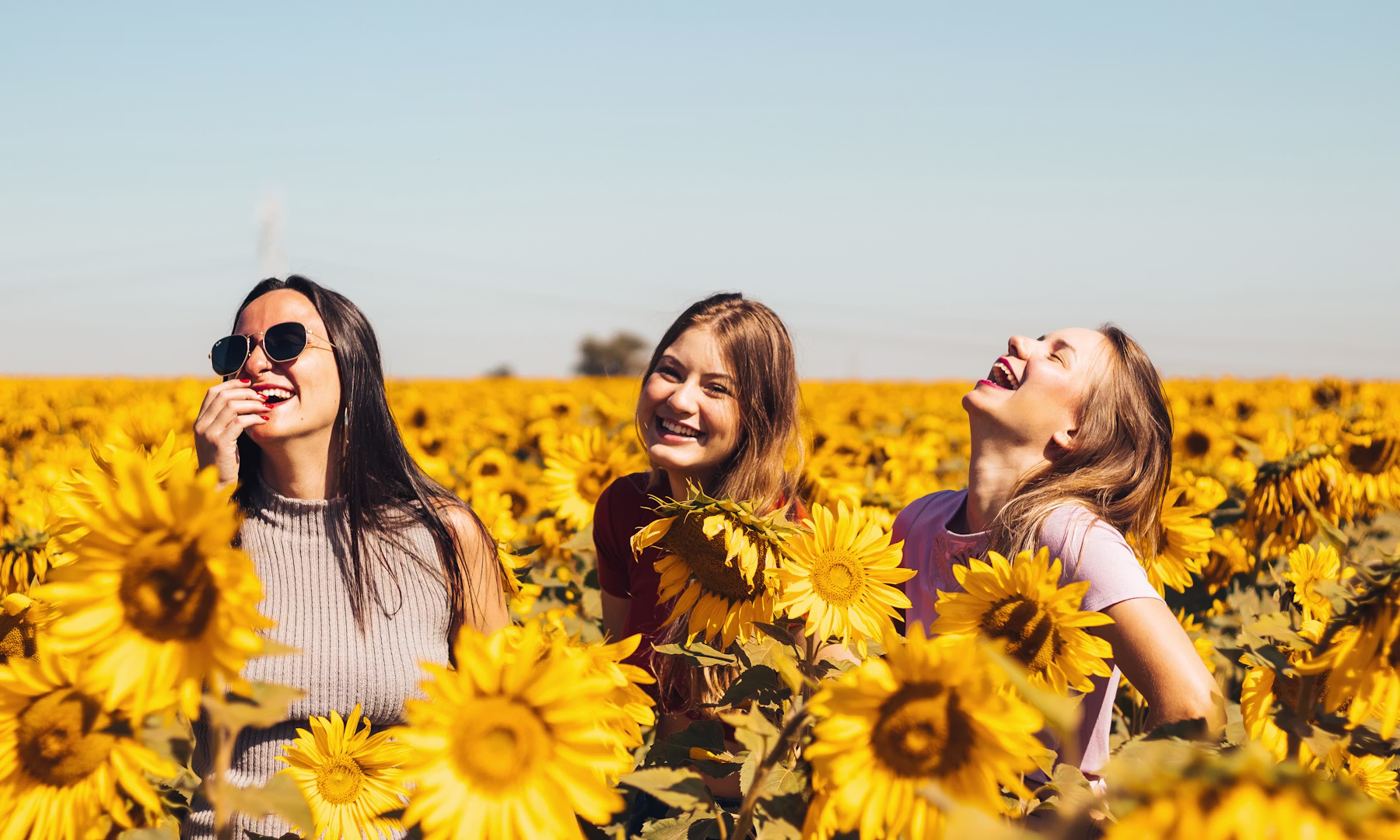 Da Menarca à Menopausa: Ginecologia Natural, Yogaterapia Hormonal e o Ser Mulher na Cultura
