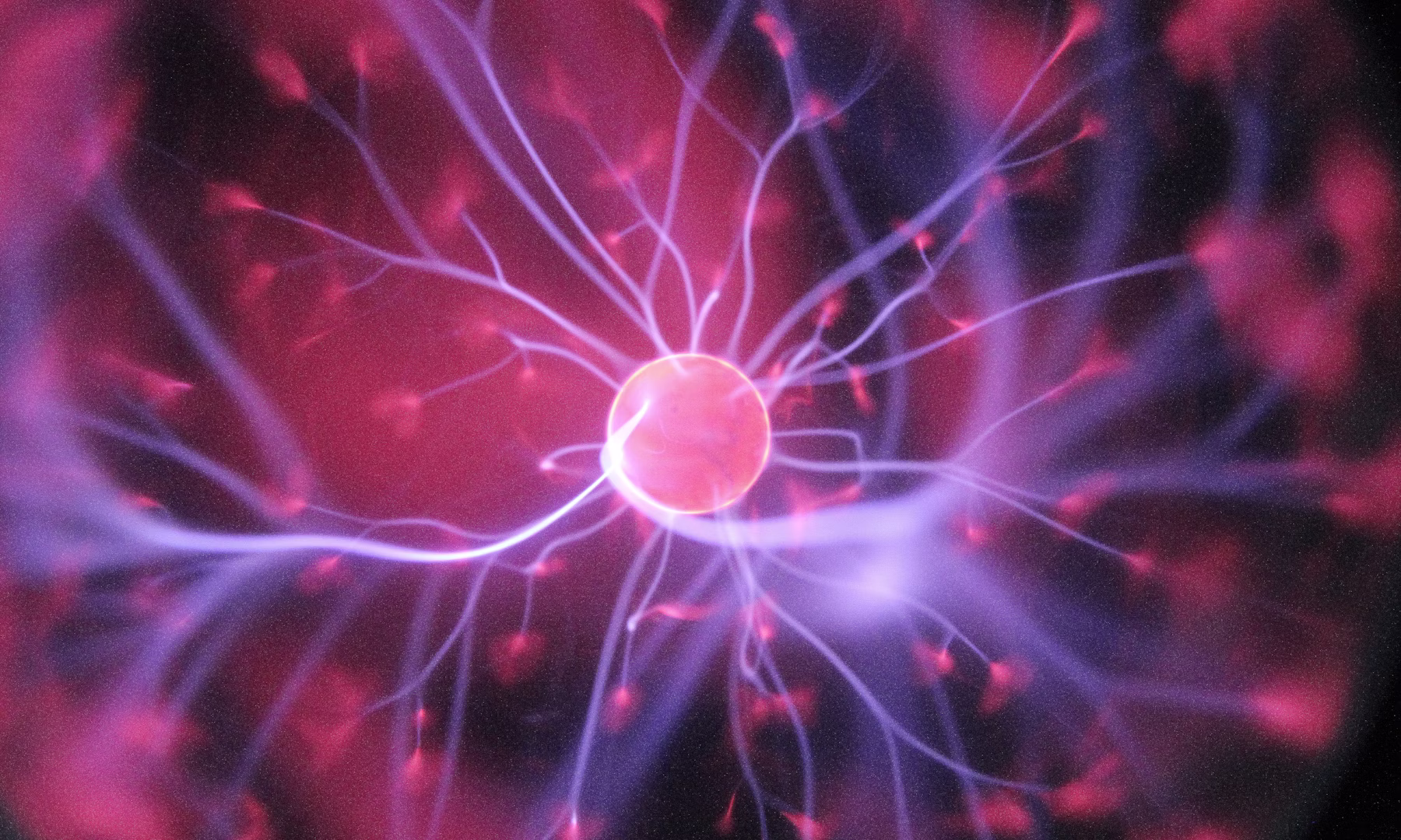 Cannabis Medicinal e Sistema Endocanabinoide: Como a Planta Atua no seu Corpo